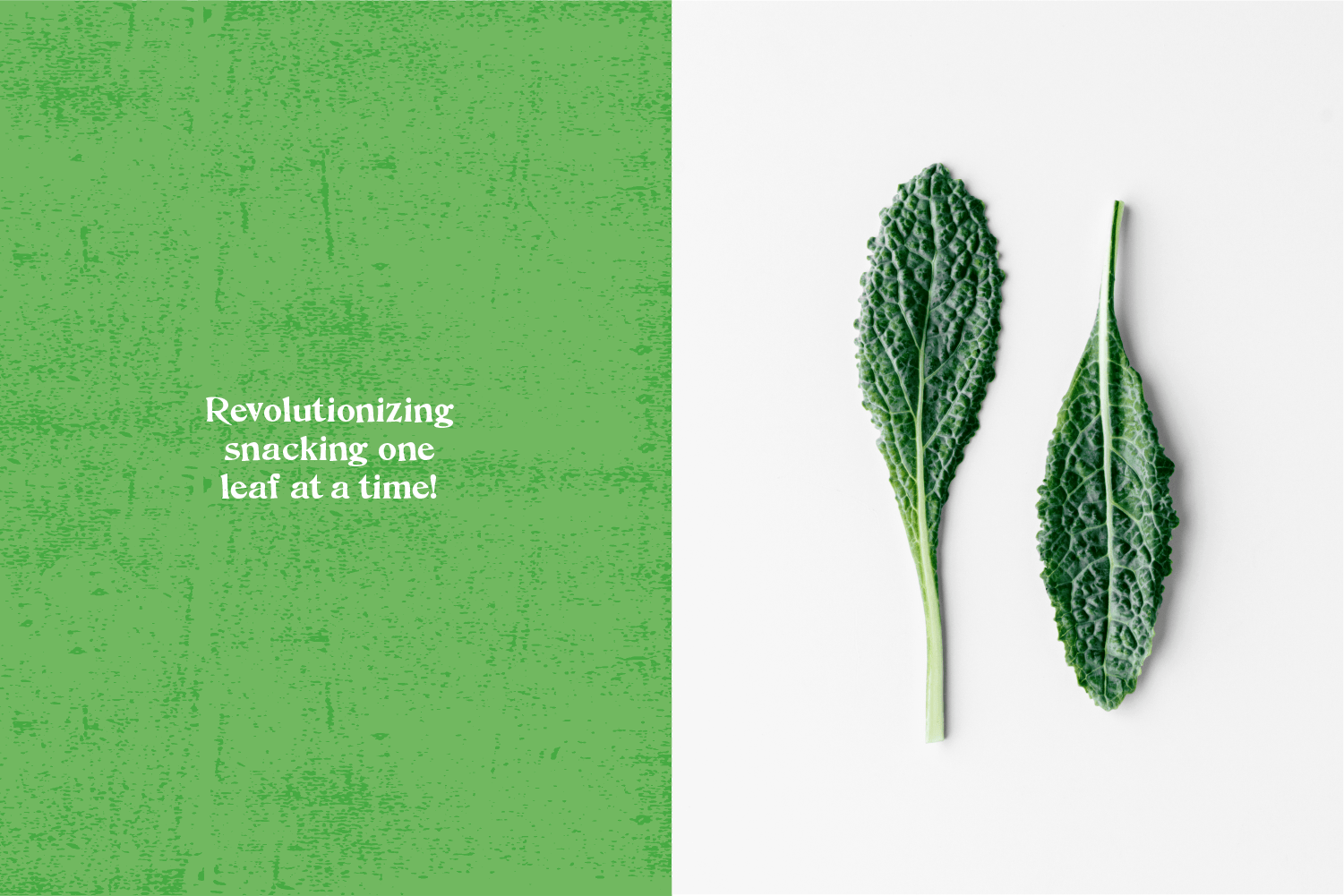 Alive & Radiant, Revolutionizing snacking one leaf at a time!