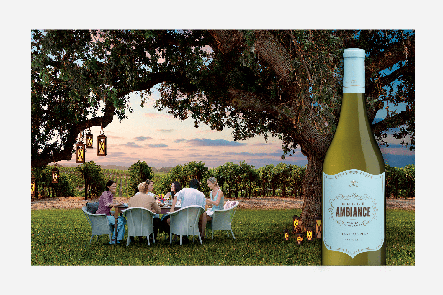 The beautiful vineyard of Belle Ambiance Wines featuring Chardonnay.