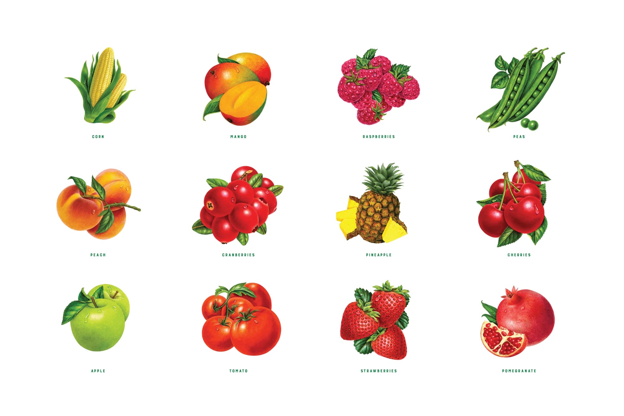 Photorealistic illustrations of California produce by Judy Unger.